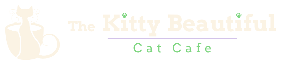 The Kitty Beautiful Cat Cafe